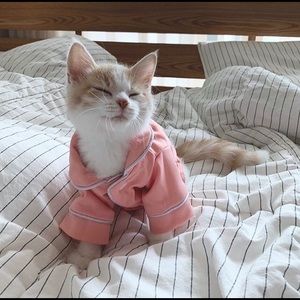 Meet your Posher, Carleigh